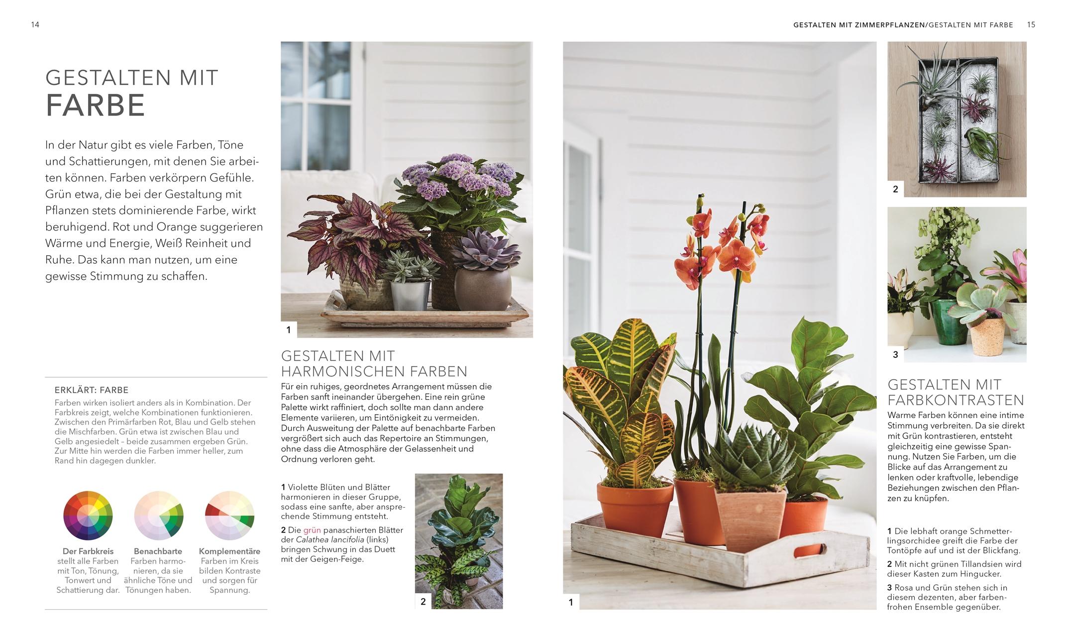 Beispielinhalt (Bild) Das große Buch der Zimmerpflanzen