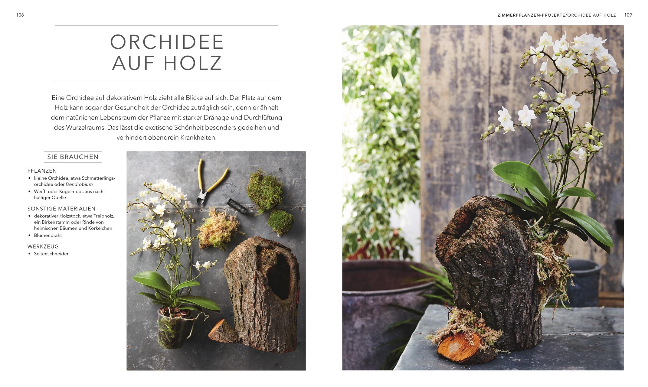 Beispielinhalt (Bild) Das große Buch der Zimmerpflanzen