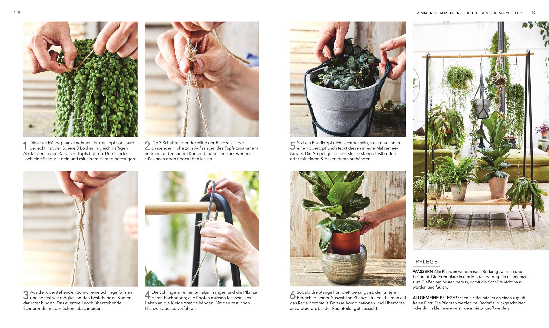 Beispielinhalt (Bild) Das große Buch der Zimmerpflanzen