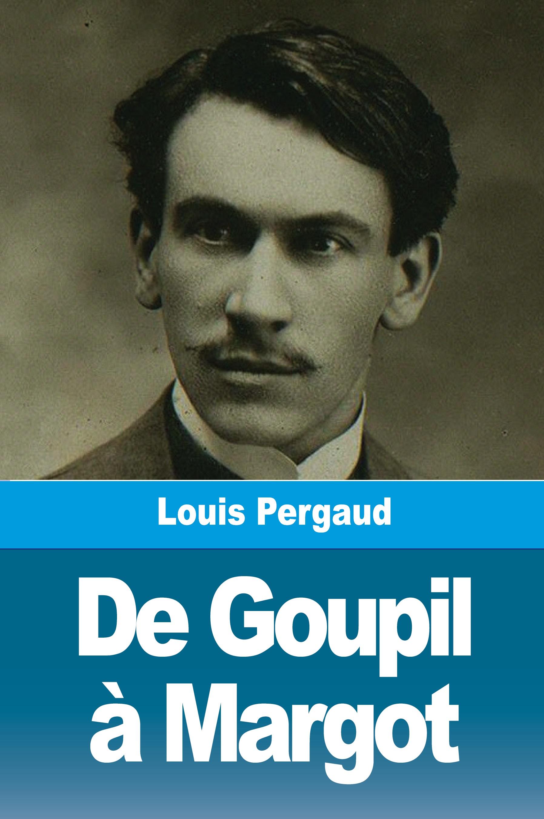Vorderes Coverbild De Goupil à Margot