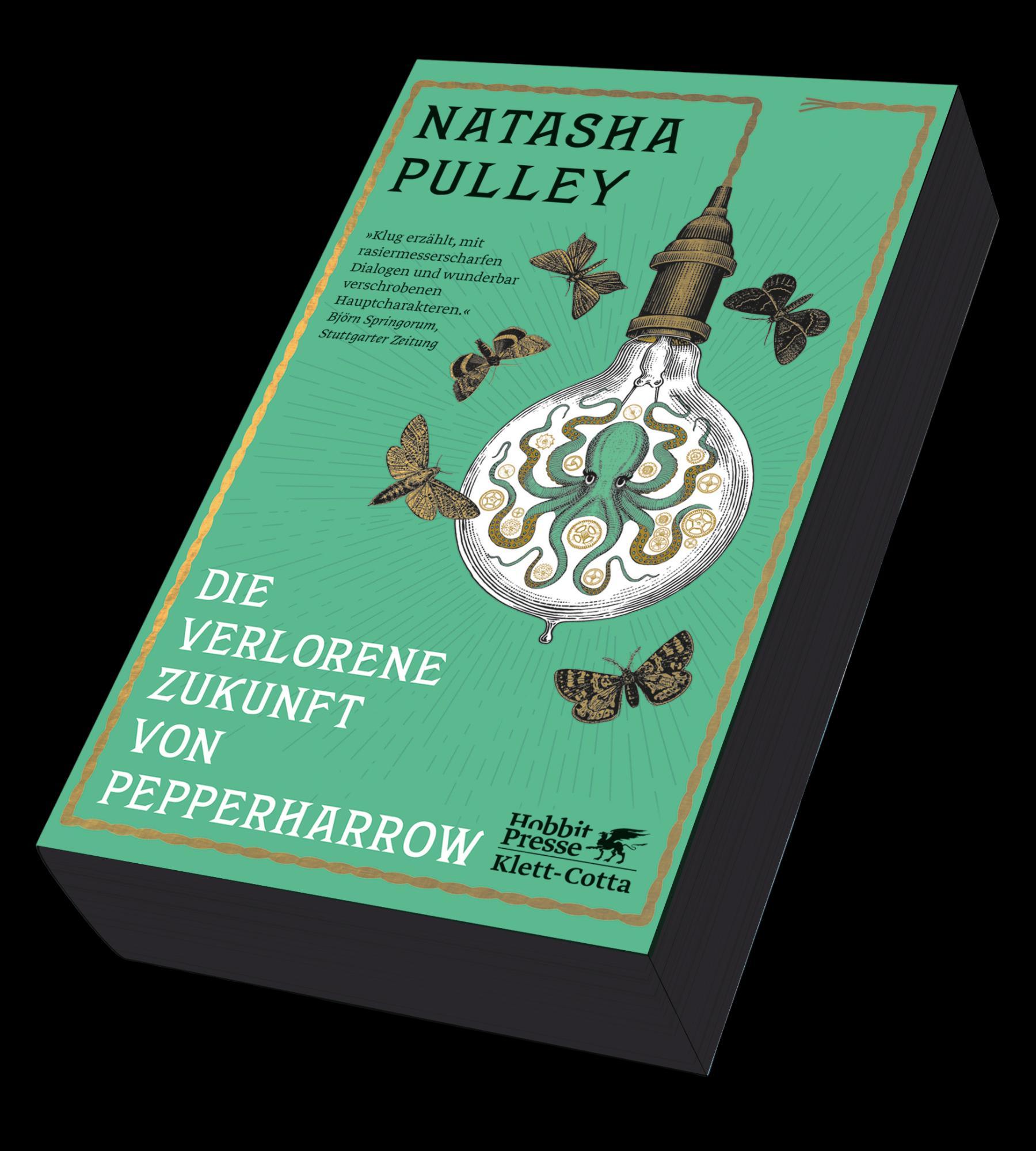 Vorderes Coverbild Die verlorene Zukunft von Pepperharrow