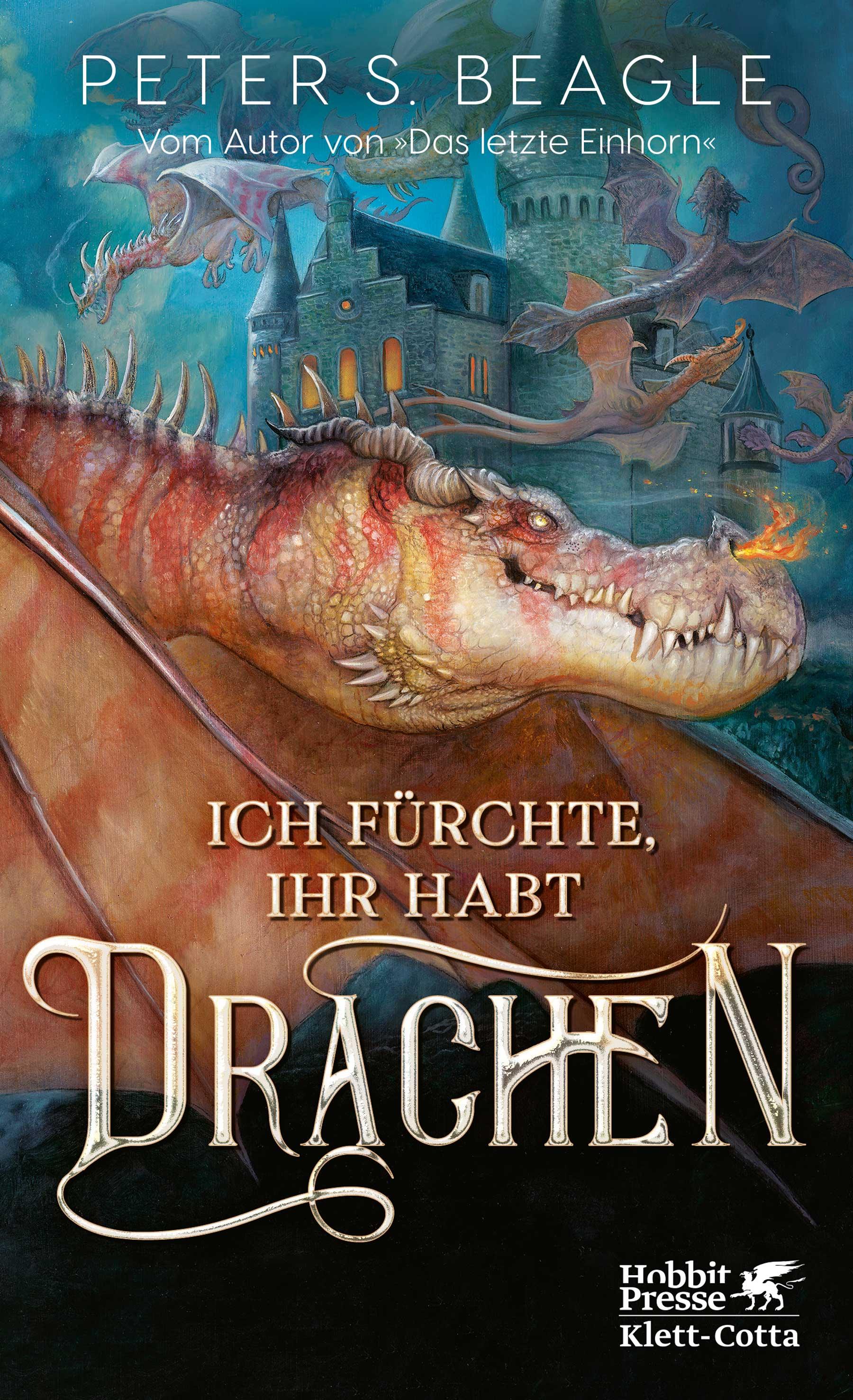 Vorderes Coverbild Ich fürchte, Ihr habt Drachen