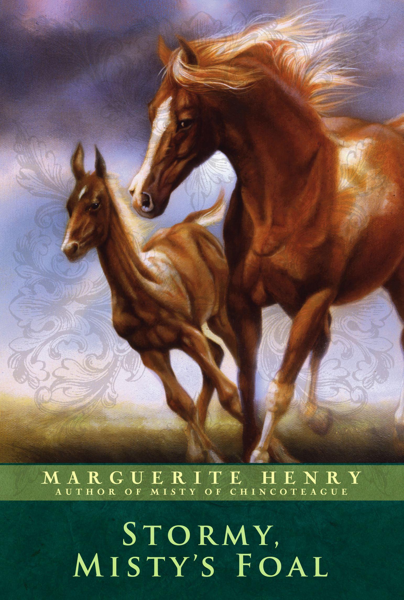 Vorderes Coverbild Stormy, Misty's Foal
