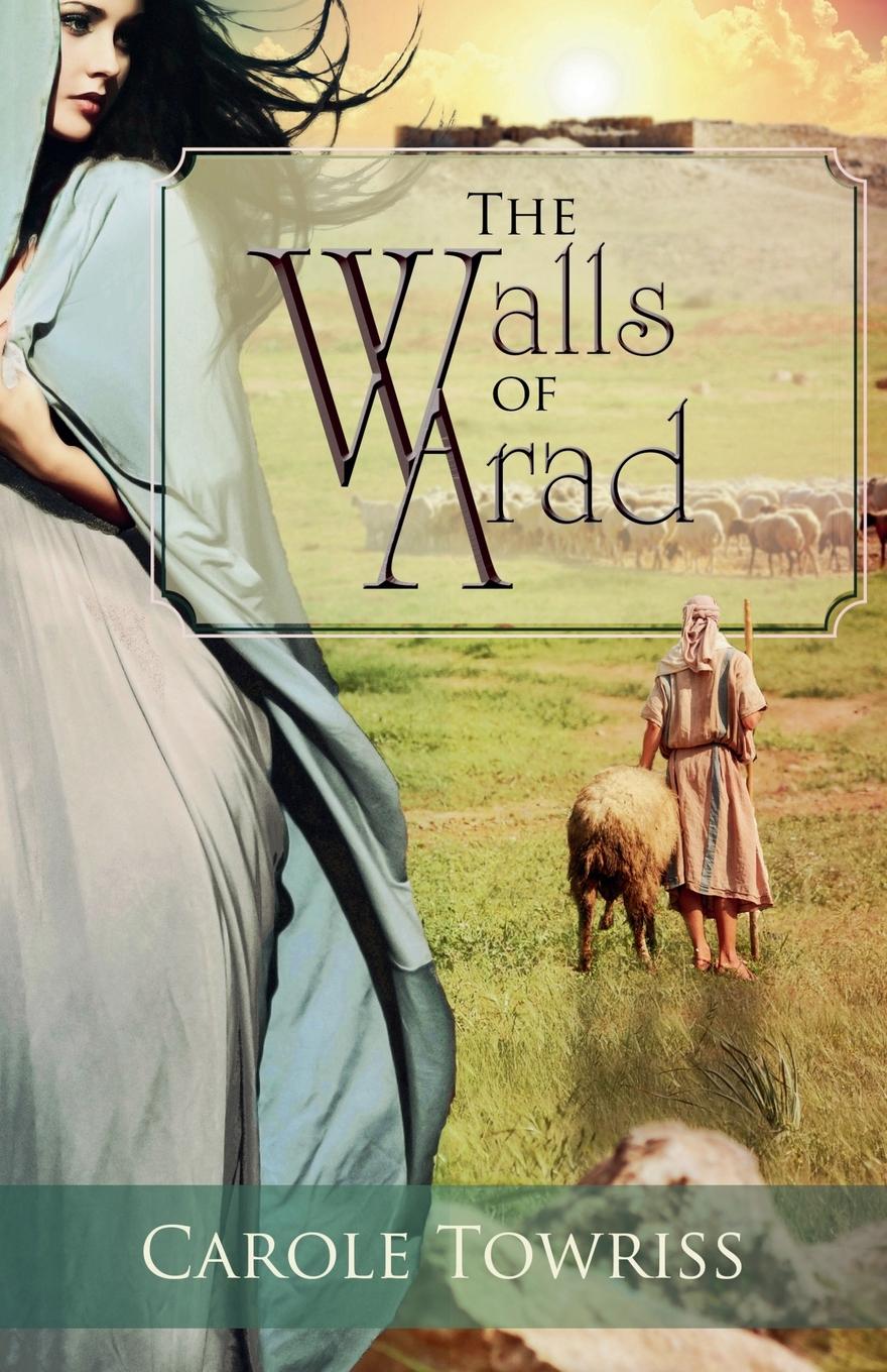 Vorderes Coverbild The Walls of Arad