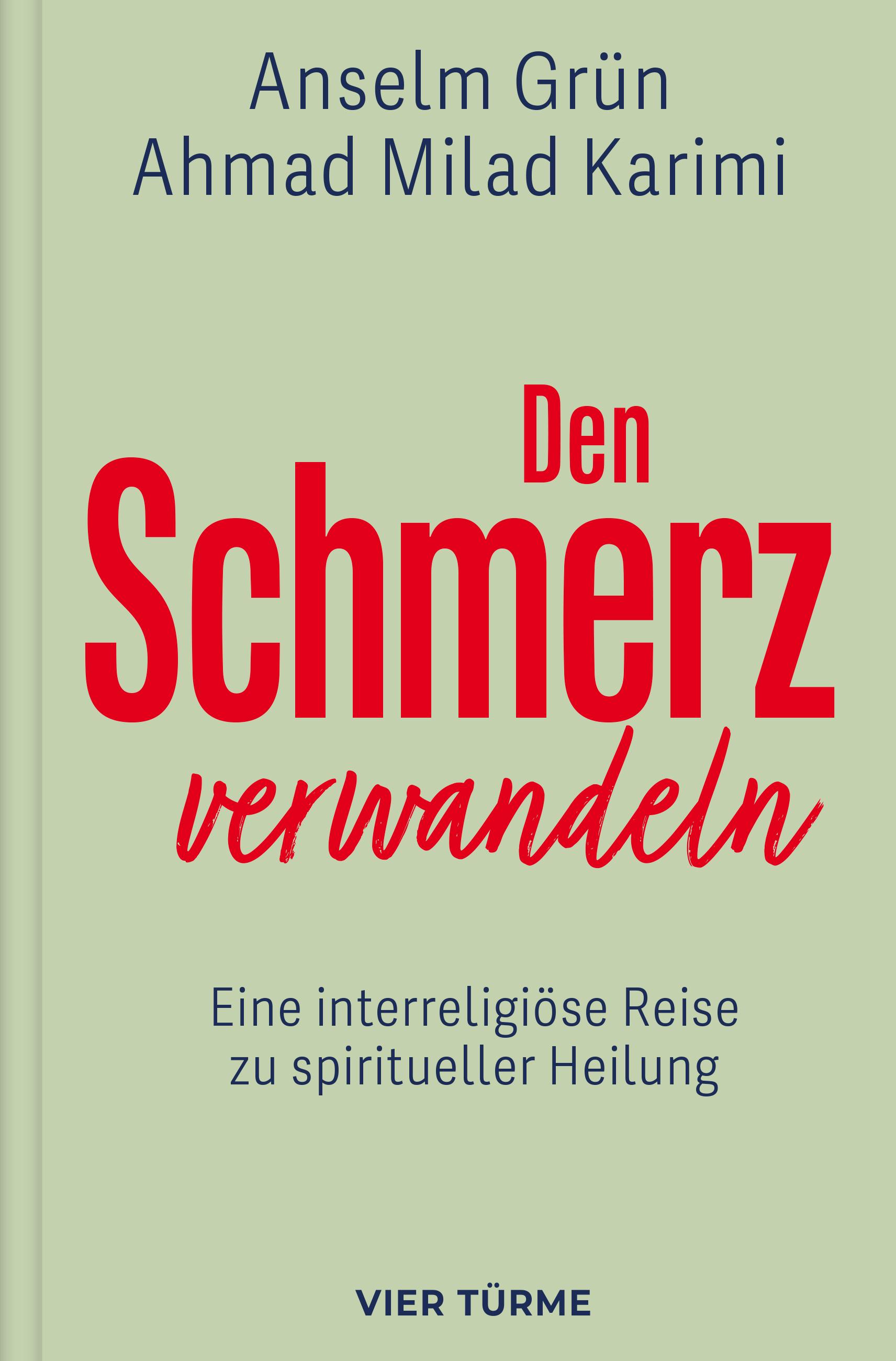 Vorderes Coverbild Den Schmerz verwandeln