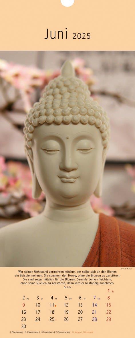 Beispielinhalt (Bild) Buddhas 2025