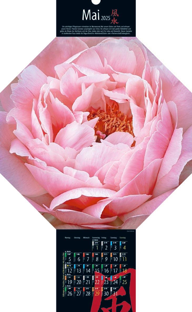 Beispielinhalt (Bild) Feng-Shui-Kalender 2025