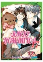 Vorderes Coverbild Junjo Romantica 17