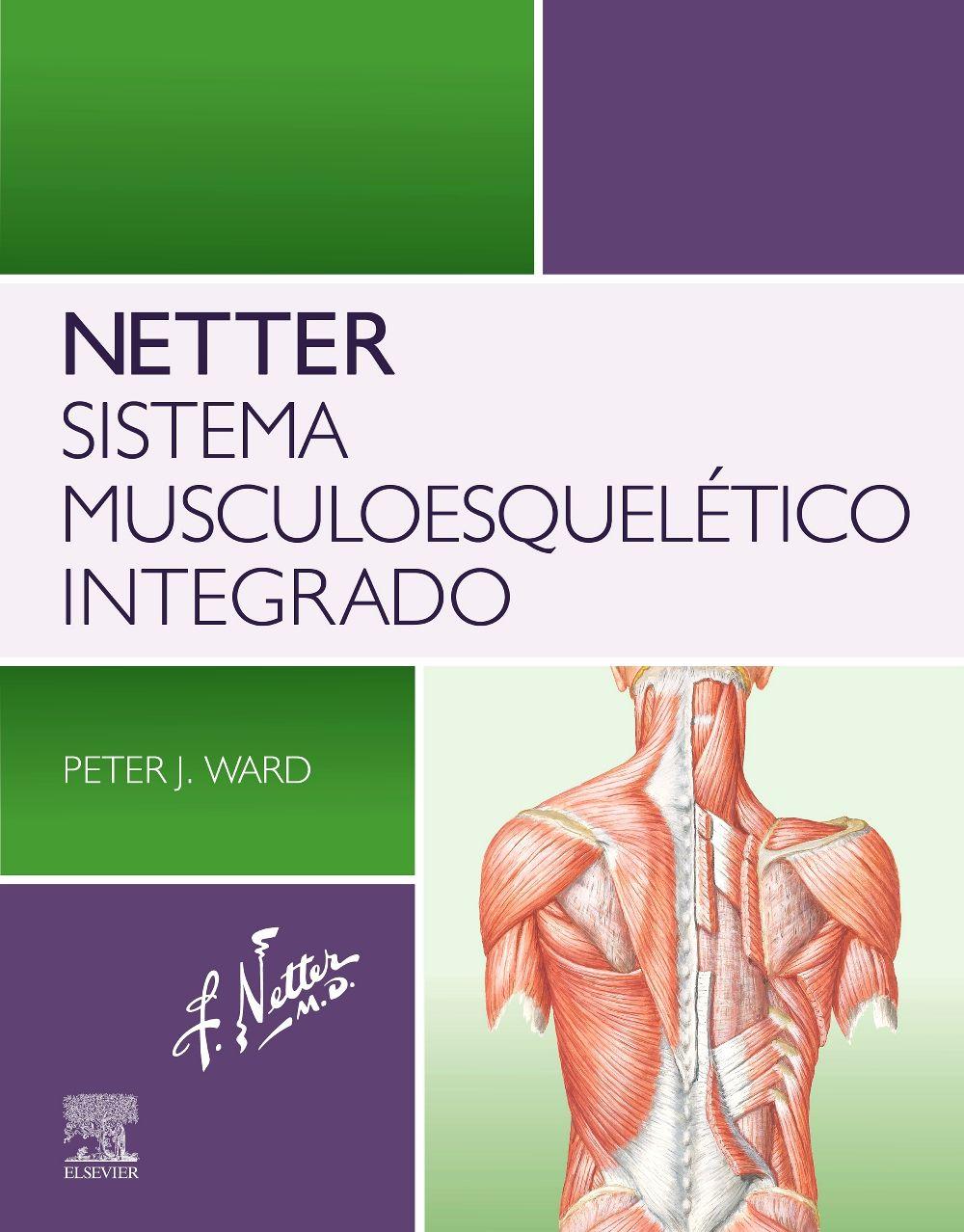 Vorderes Coverbild Netter. Sistema musculoesquelético integrado