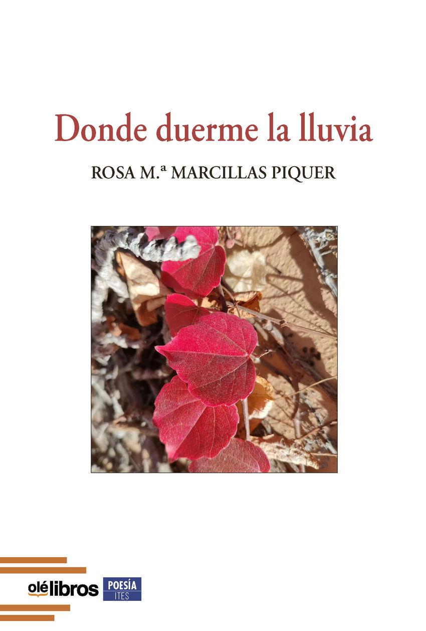 Vorderes Coverbild Donde duerme la lluvia