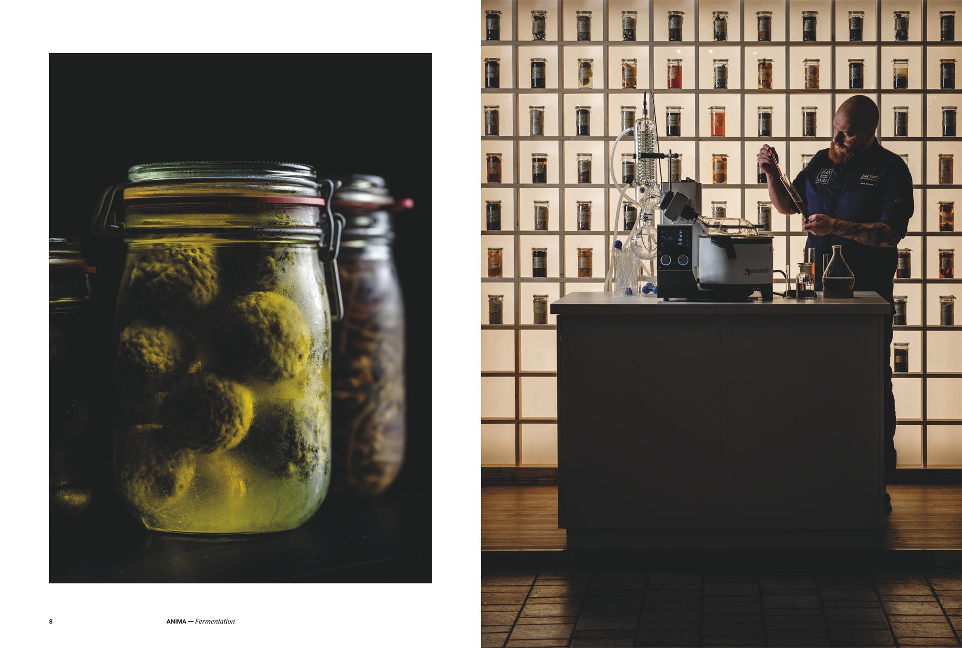 Beispielinhalt (Bild) AURA & ANIMA