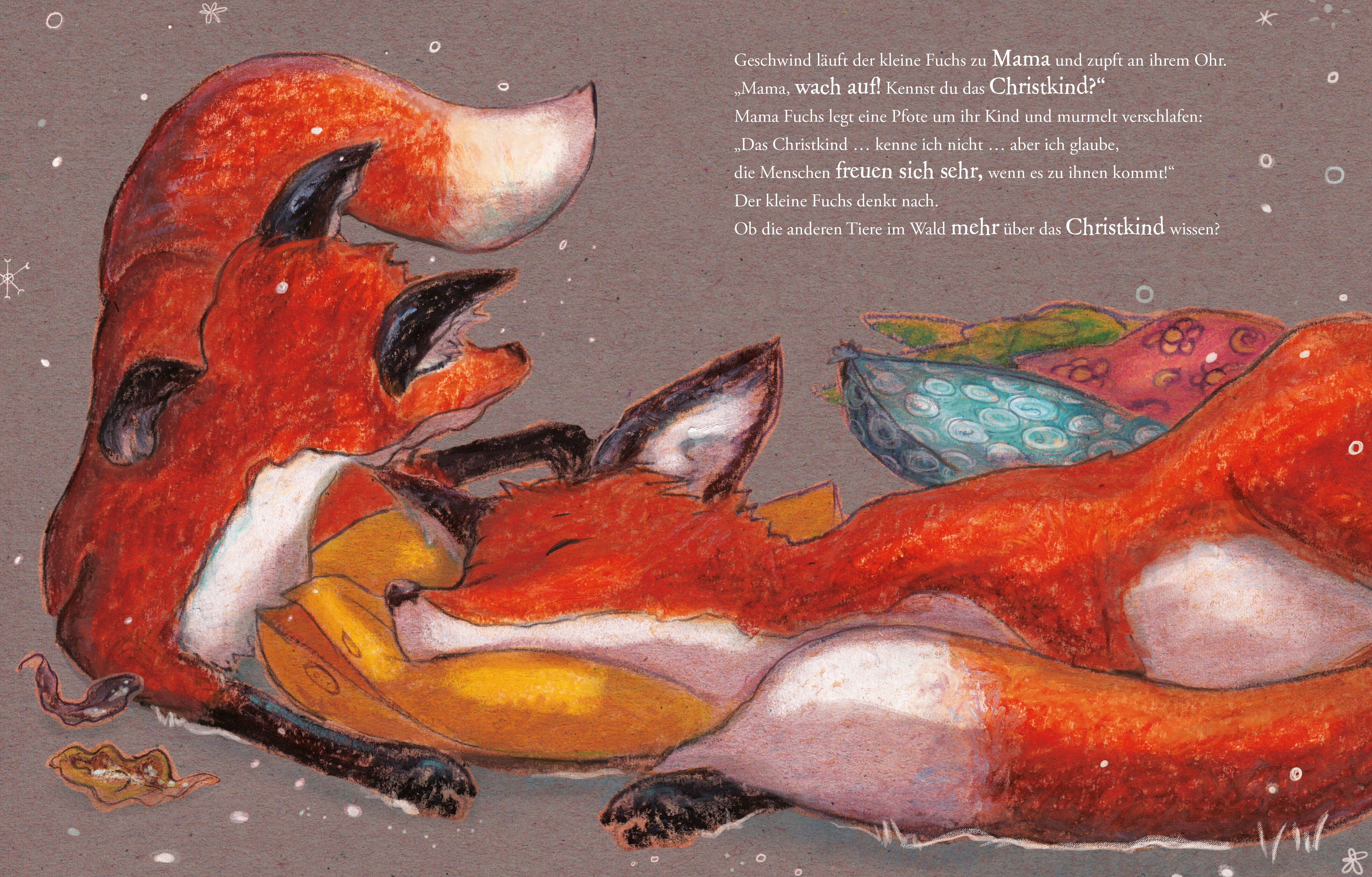 Beispielinhalt (Bild) Wie der kleine Fuchs das Christkind sucht - Jubiläumsausgabe