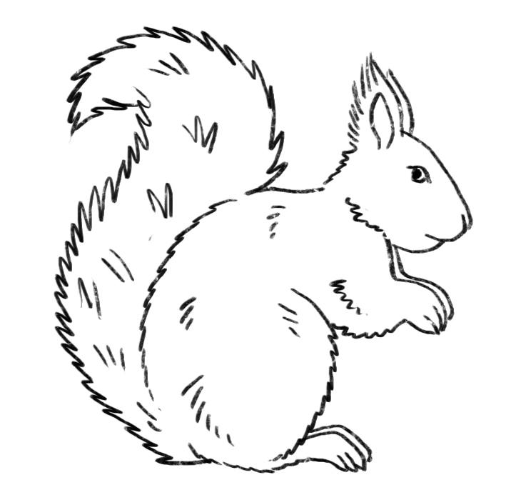 Beispielinhalt (Bild) 365 Zeichenmotive für jeden Tag