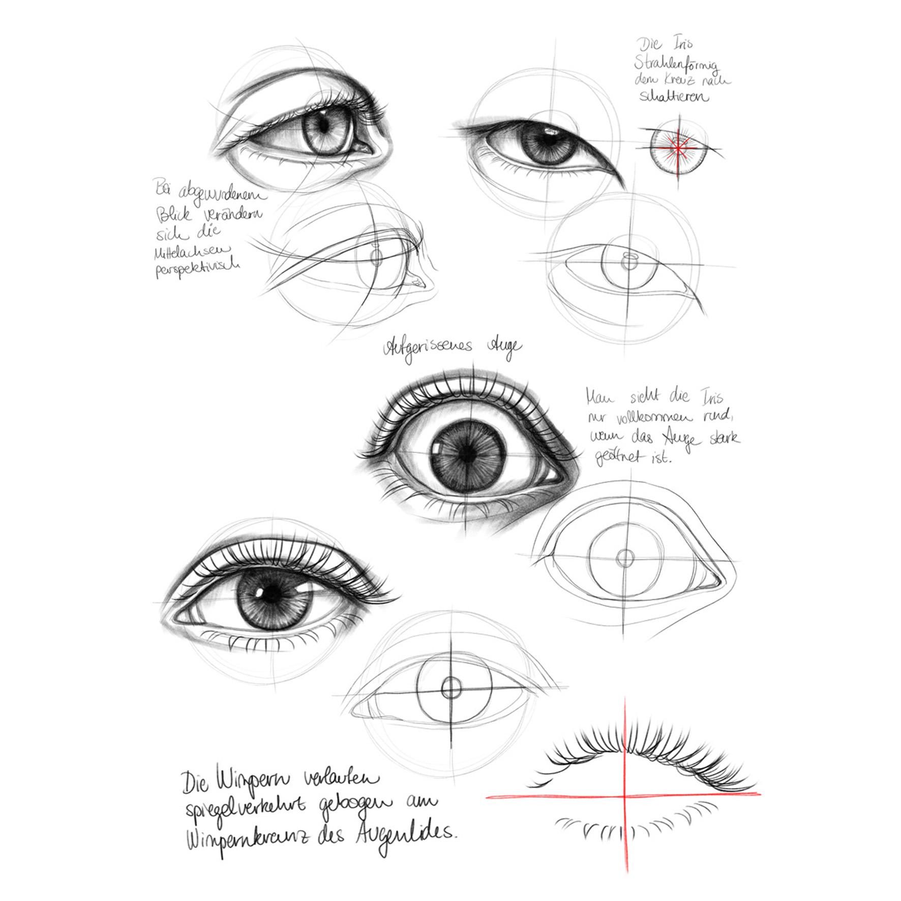 Beispielinhalt (Bild) Die große Zeichenbibliothek