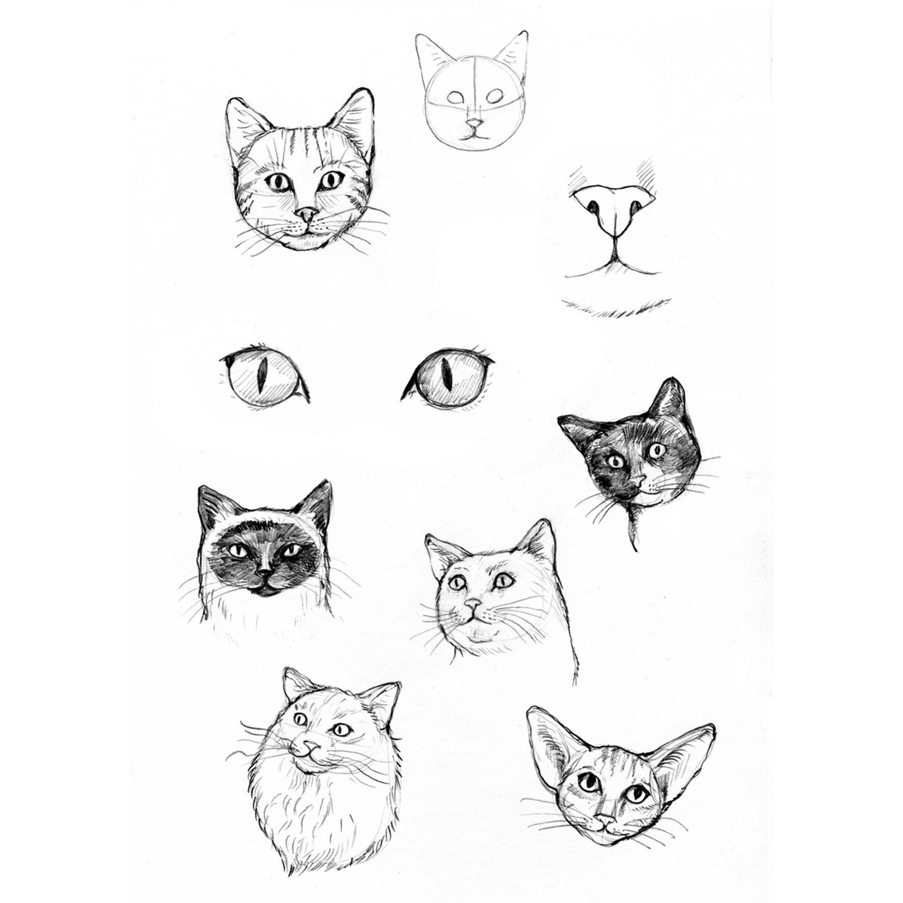 Beispielinhalt (Bild) Die große Zeichenbibliothek