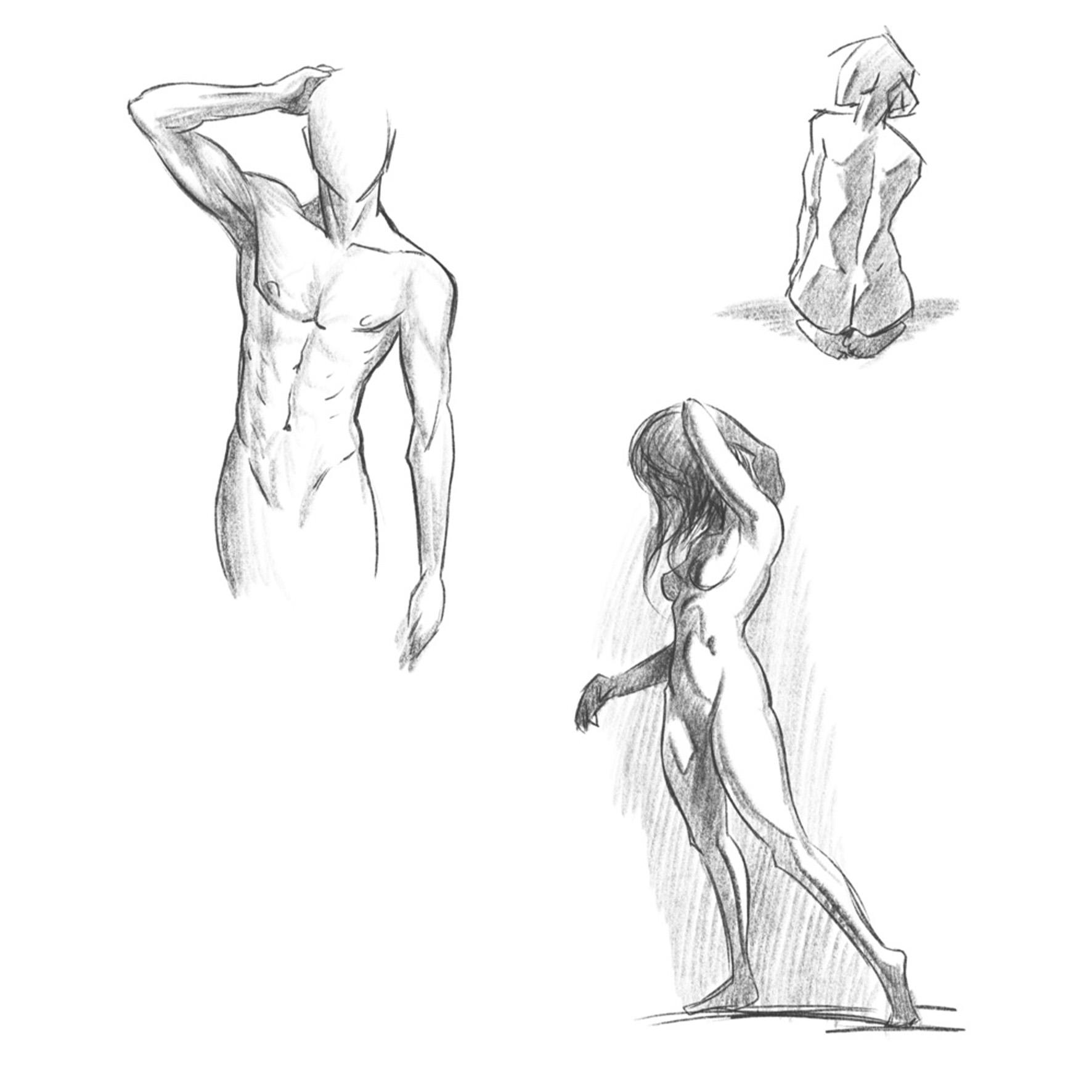 Beispielinhalt (Bild) Die große Zeichenbibliothek