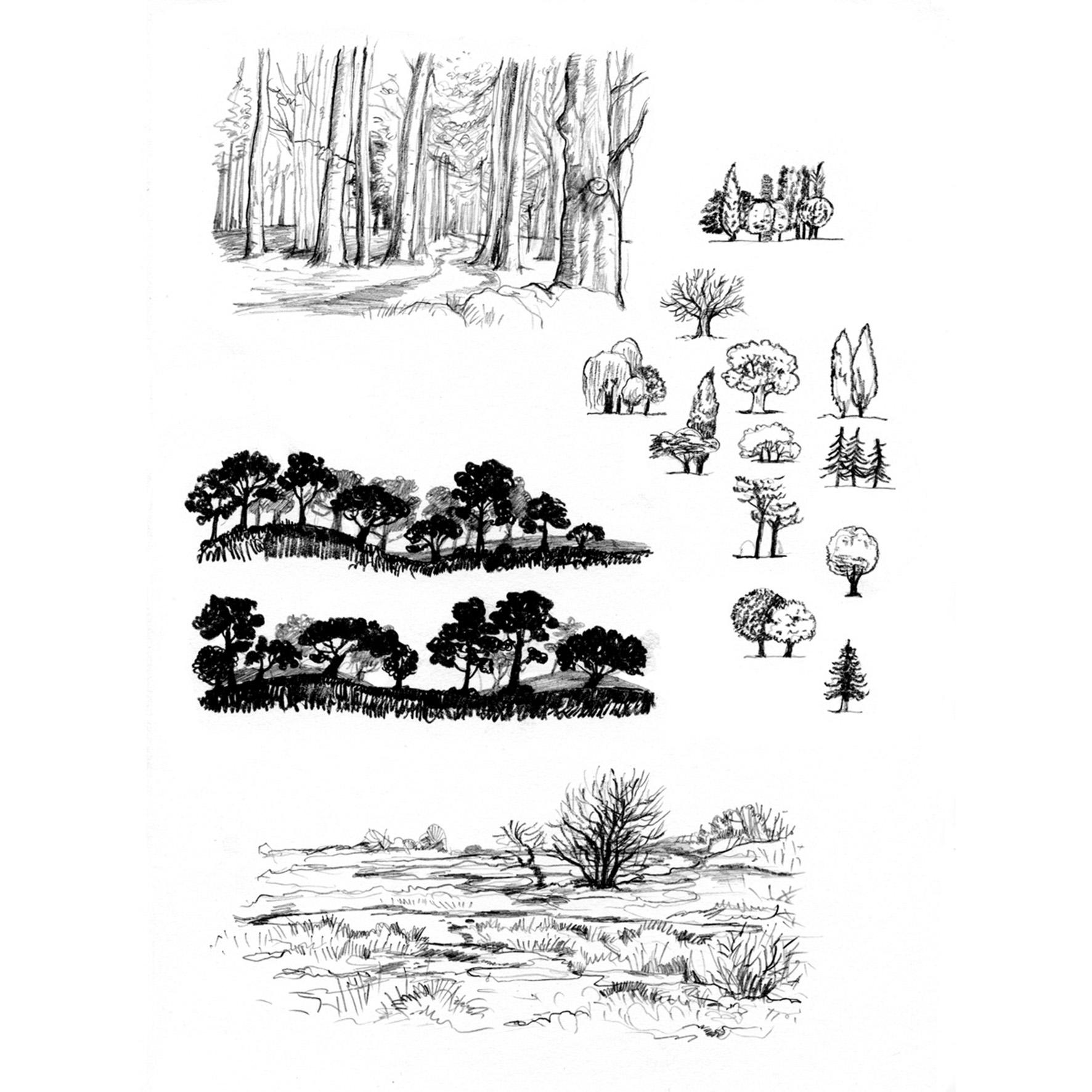 Beispielinhalt (Bild) Die große Zeichenbibliothek