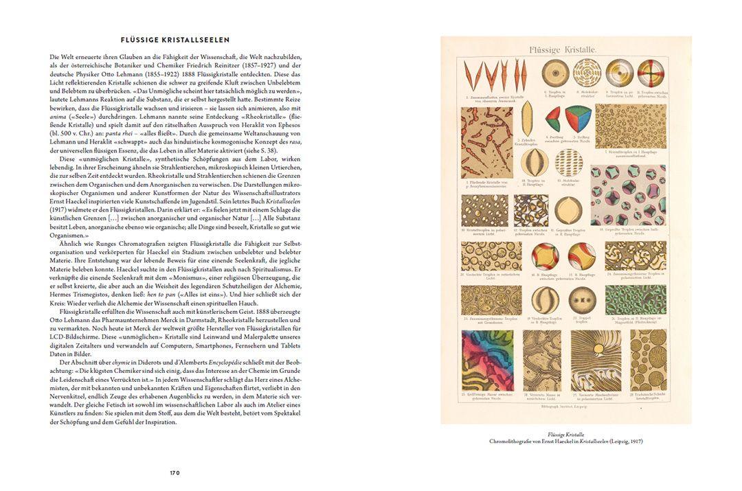 Beispielinhalt (Bild) Die Kunst der Alchemie