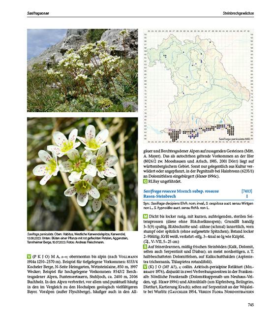 Beispielinhalt (Bild) Flora von Bayern
