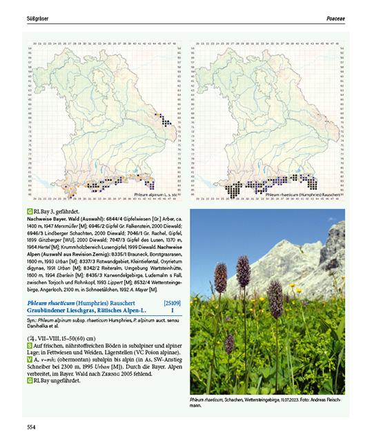 Beispielinhalt (Bild) Flora von Bayern