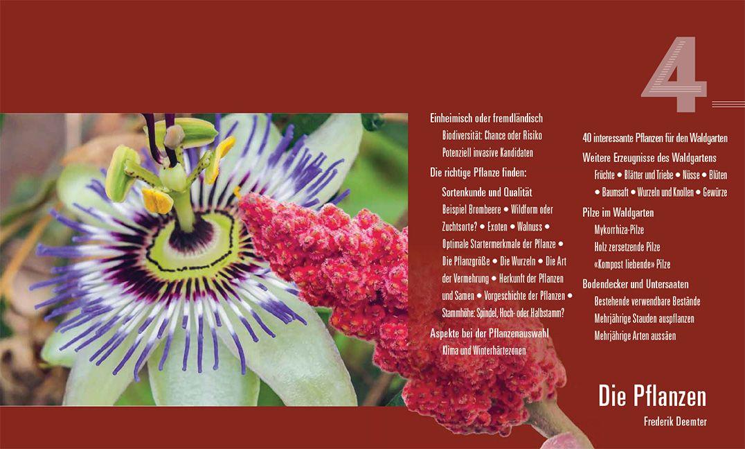 Beispielinhalt (Bild) Praxisbuch Waldgarten