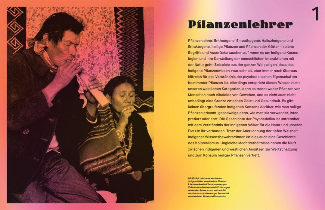 Beispielinhalt (Bild) Rausch - Eine Kulturgeschichte der Psychedelika