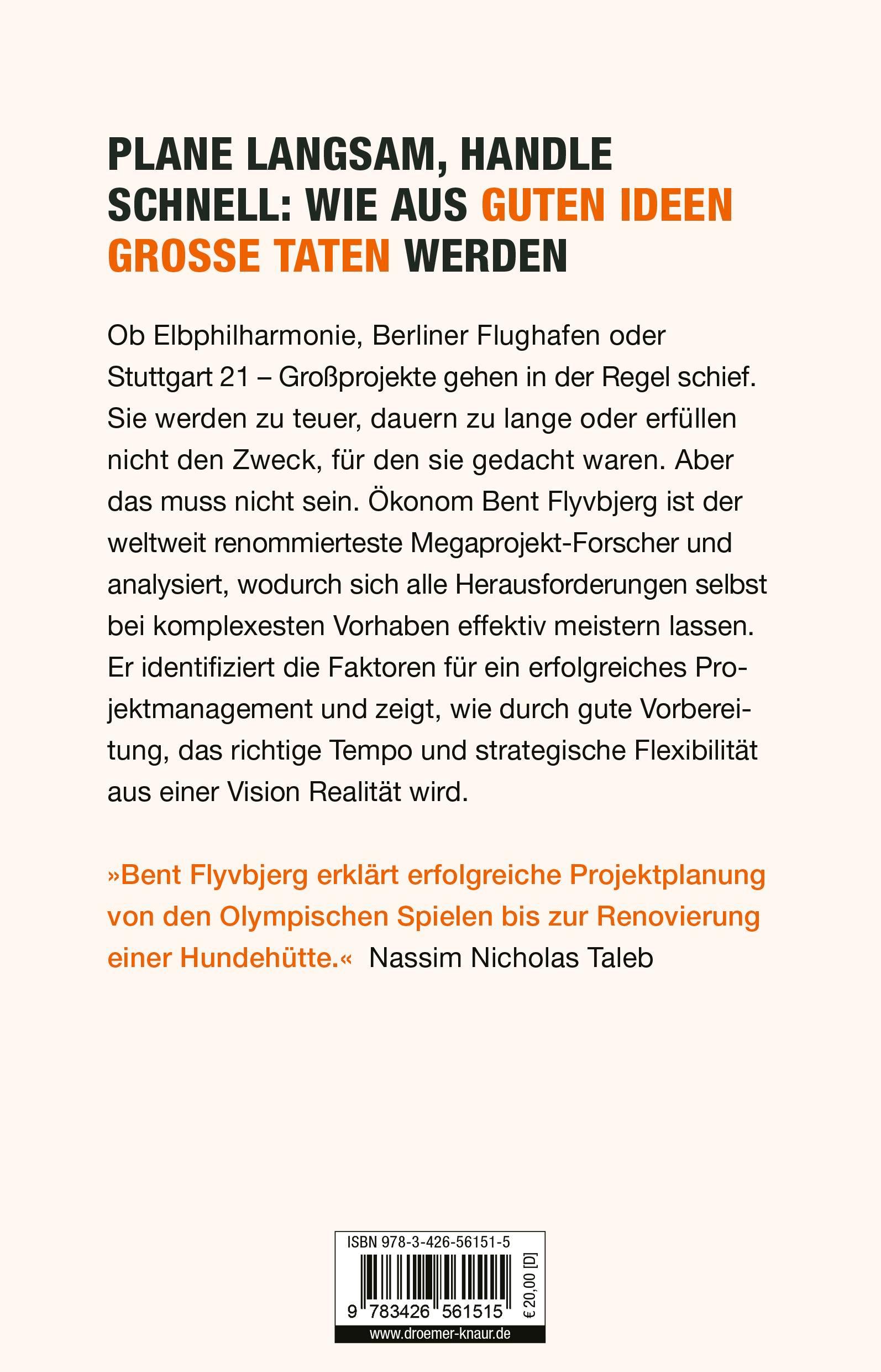 Rückseitencover How Big Things Get Done