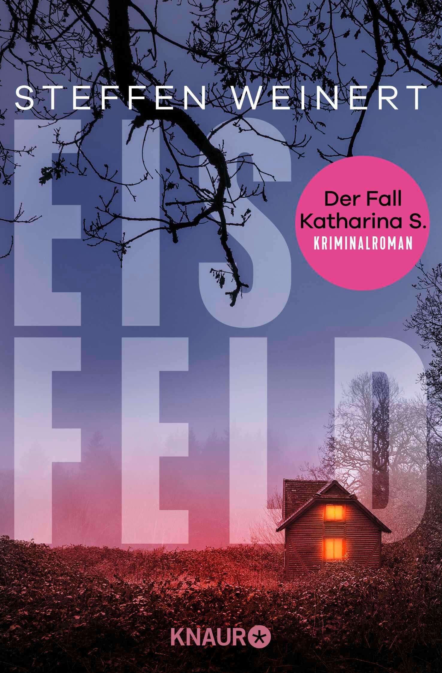 Vorderes Coverbild Eisfeld - Der Fall Katharina S.