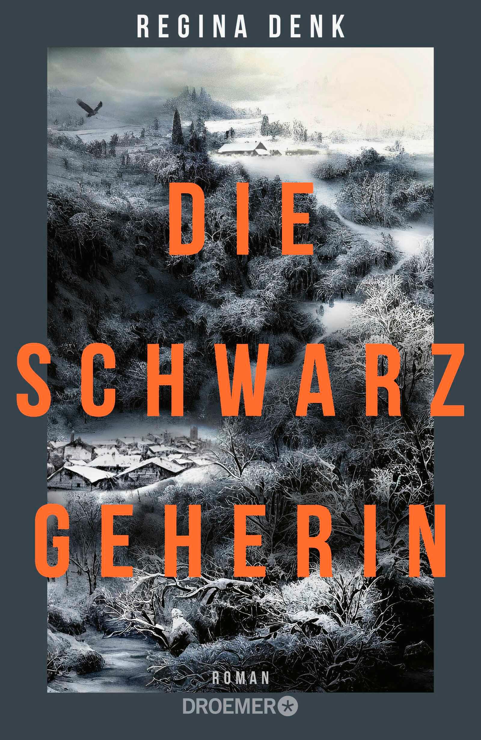 Vorderes Coverbild Die Schwarzgeherin