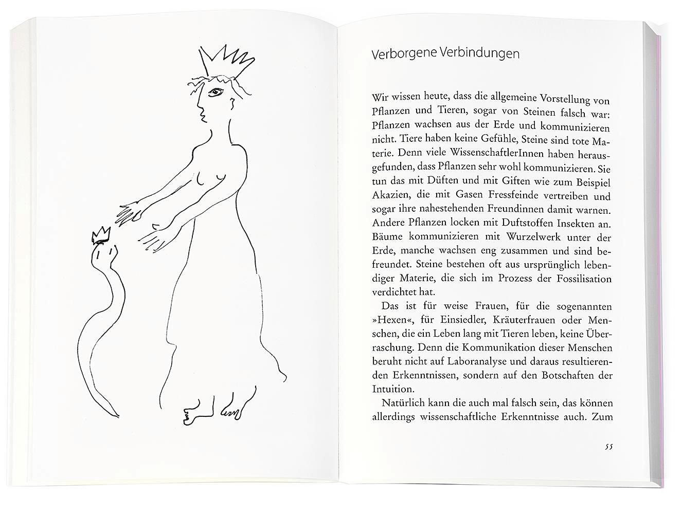 Beispielinhalt (Bild) Die Macht des Verborgenen