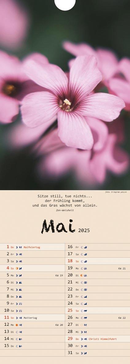 Beispielinhalt (Bild) Spirit of Meditation. Kalender 2025