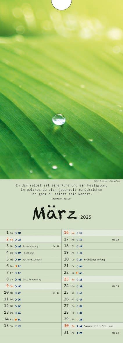 Beispielinhalt (Bild) Spirit of Meditation. Kalender 2025