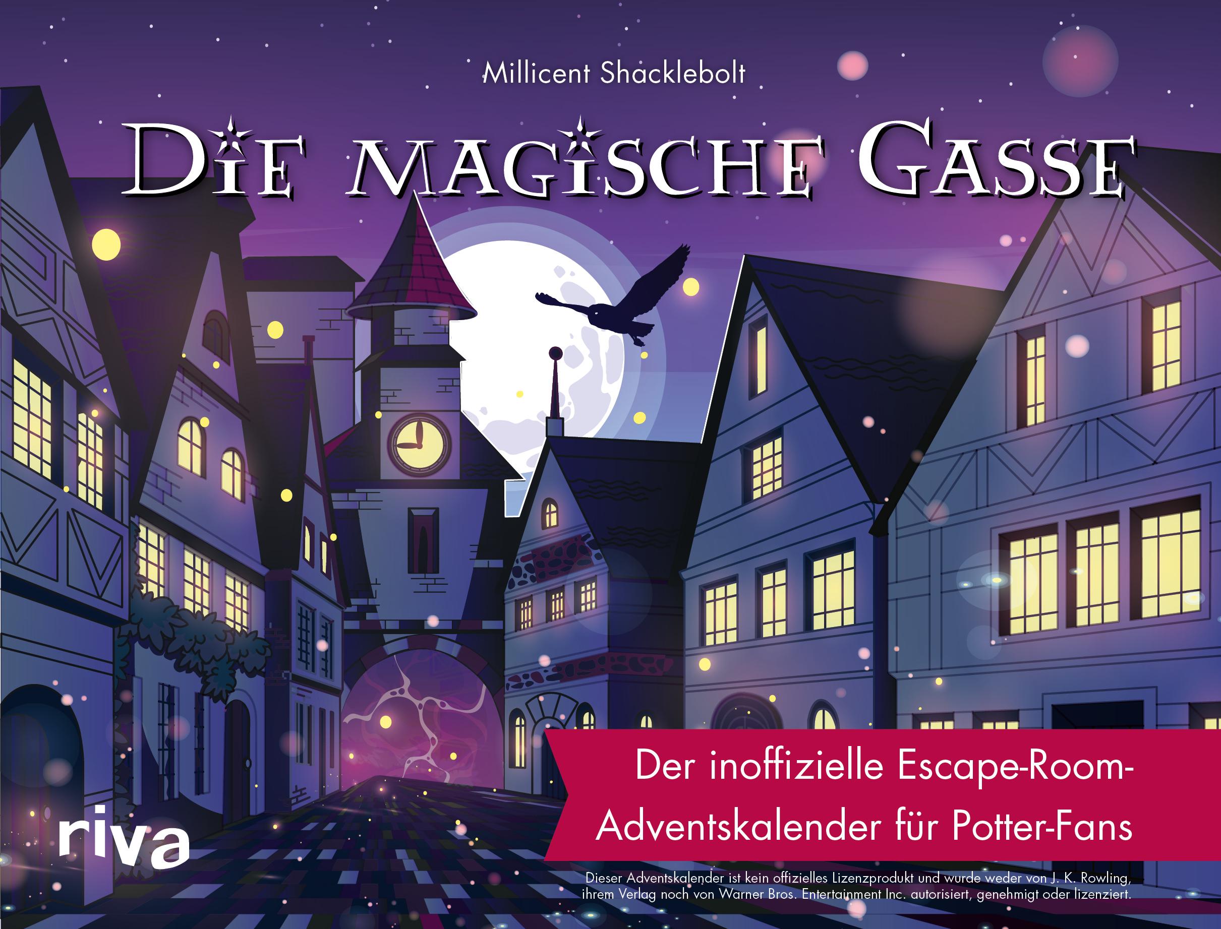 Vorderes Coverbild Die magische Gasse