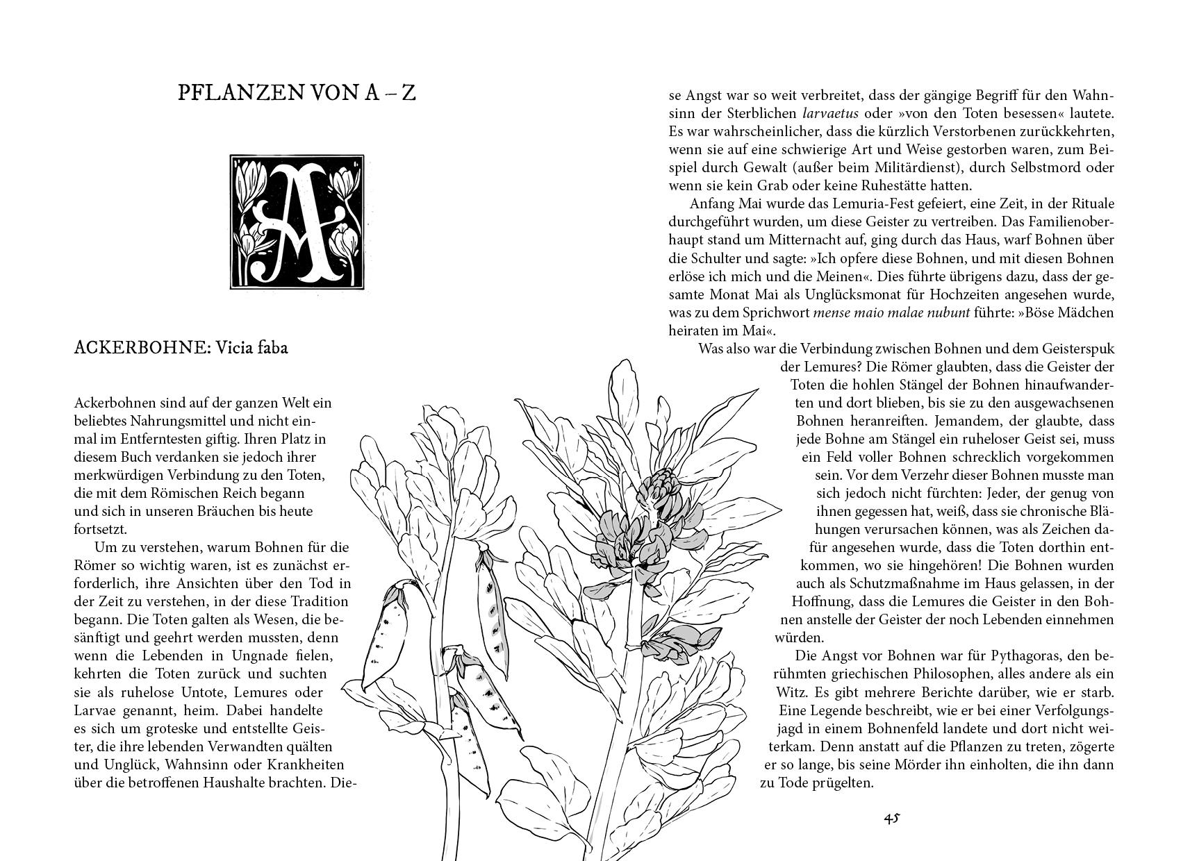 Beispielinhalt (Bild) Im Garten der Gifte