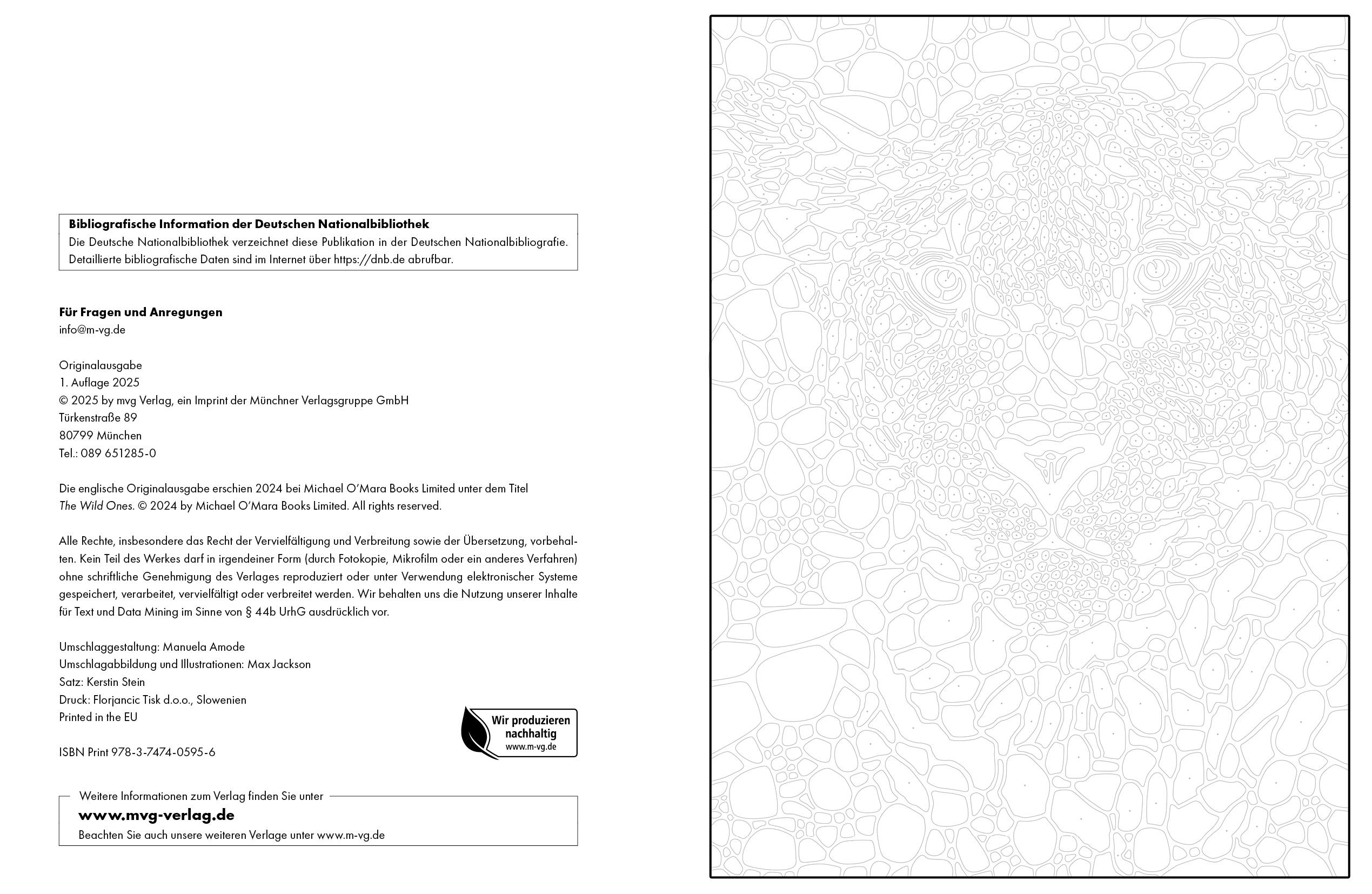 Beispielinhalt (Bild) Ausmalen und Entdecken