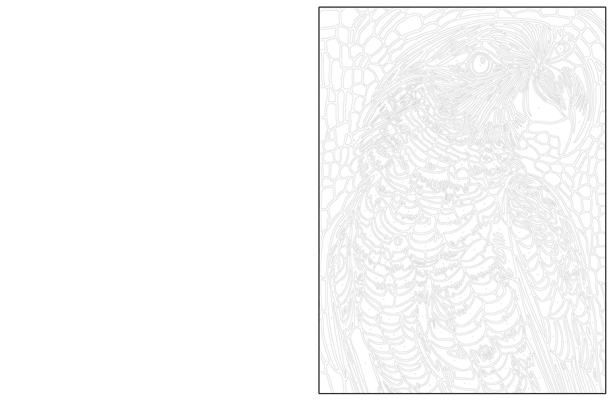 Beispielinhalt (Bild) Ausmalen und Entdecken