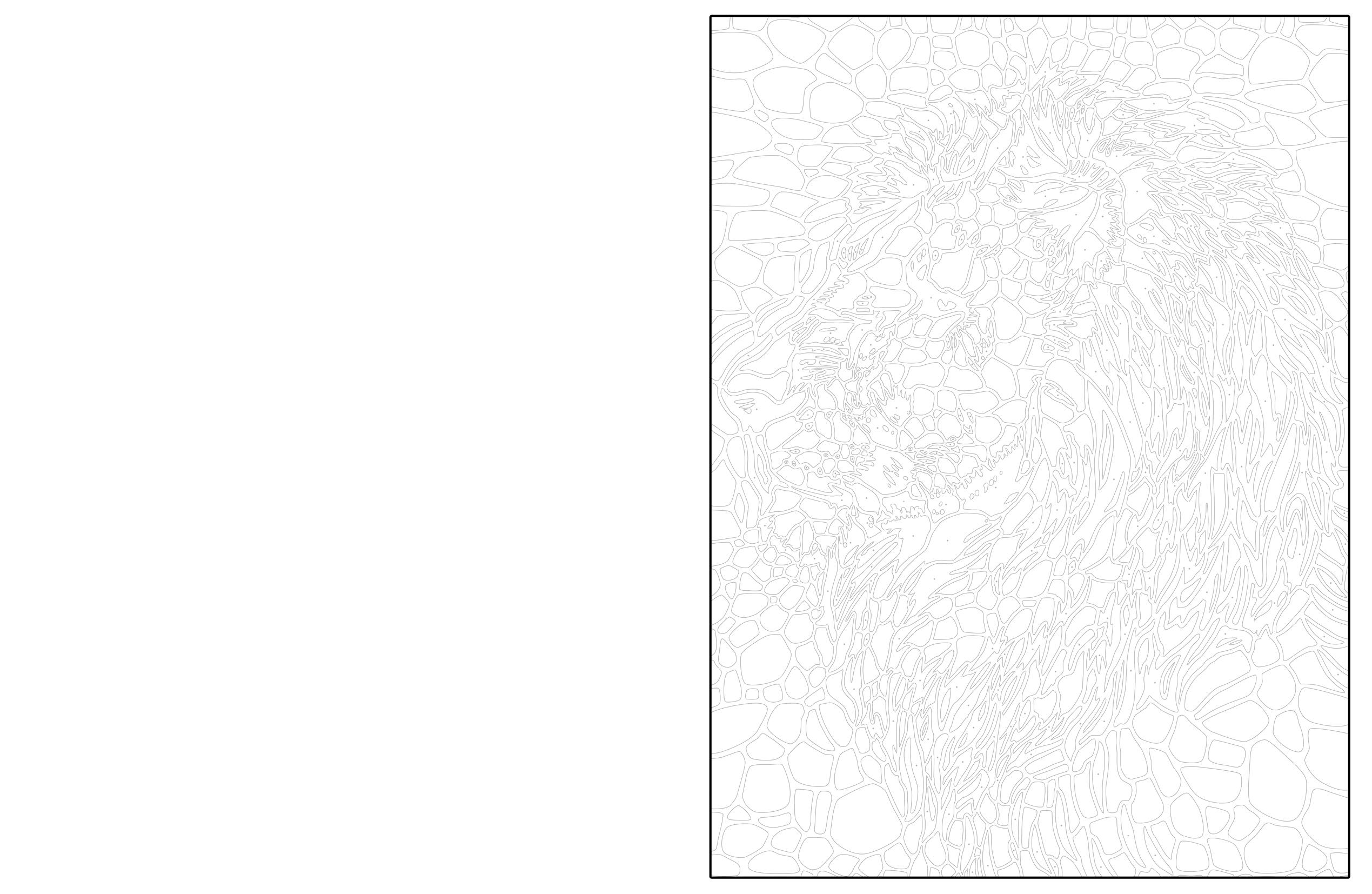 Beispielinhalt (Bild) Ausmalen und Entdecken