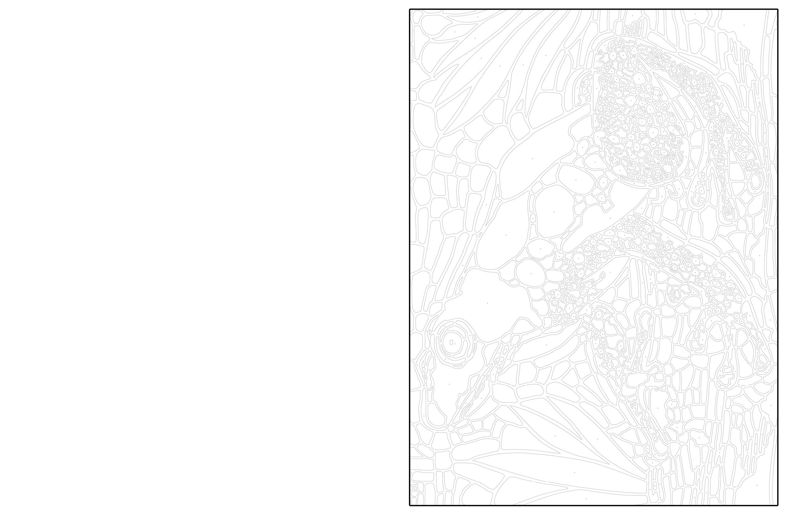 Beispielinhalt (Bild) Ausmalen und Entdecken