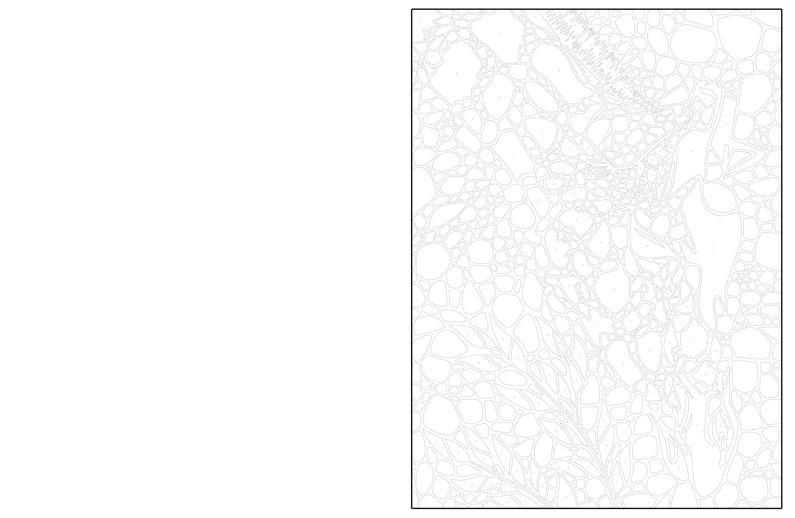 Beispielinhalt (Bild) Ausmalen und Entdecken