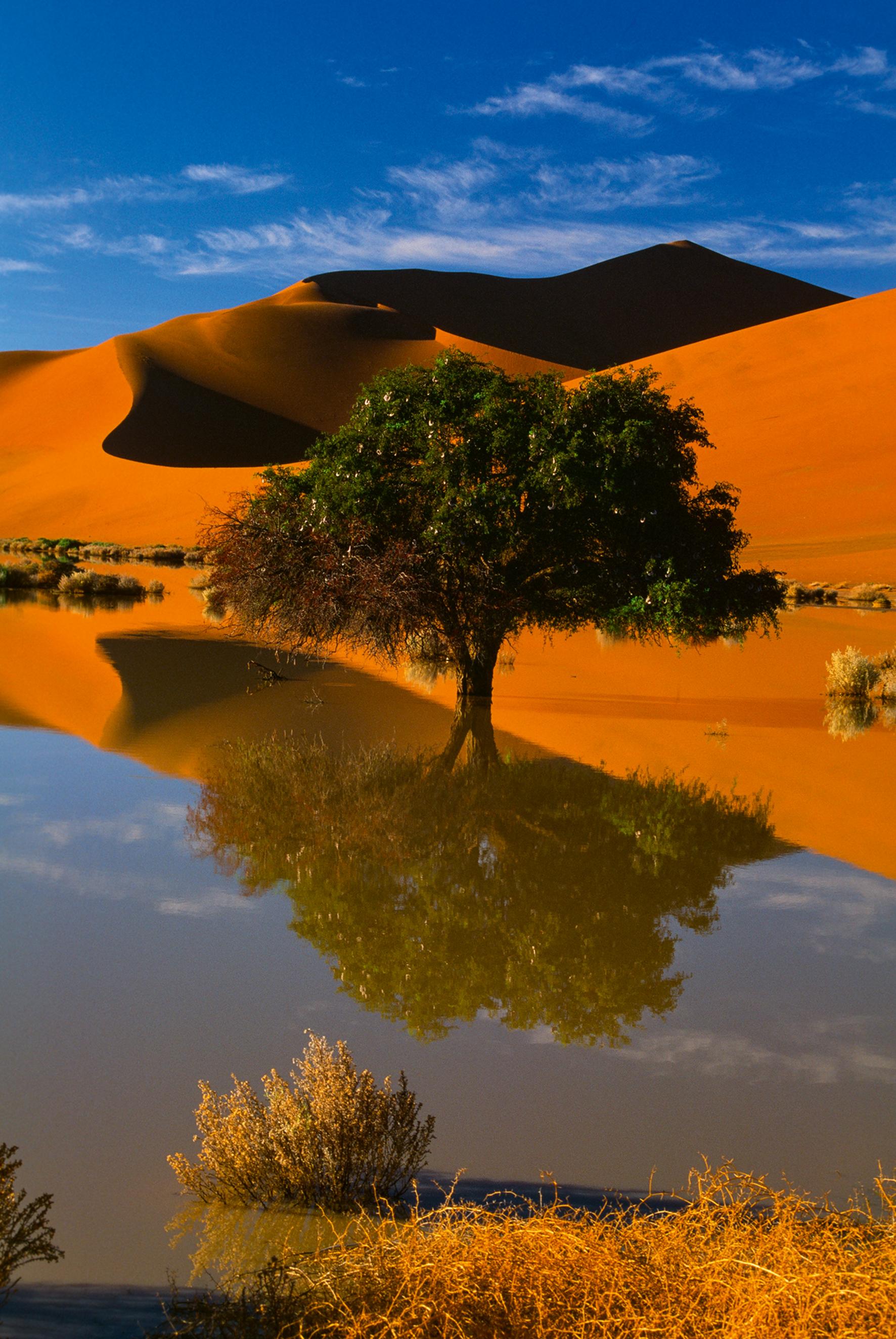 Beispielinhalt (Bild) Deserts