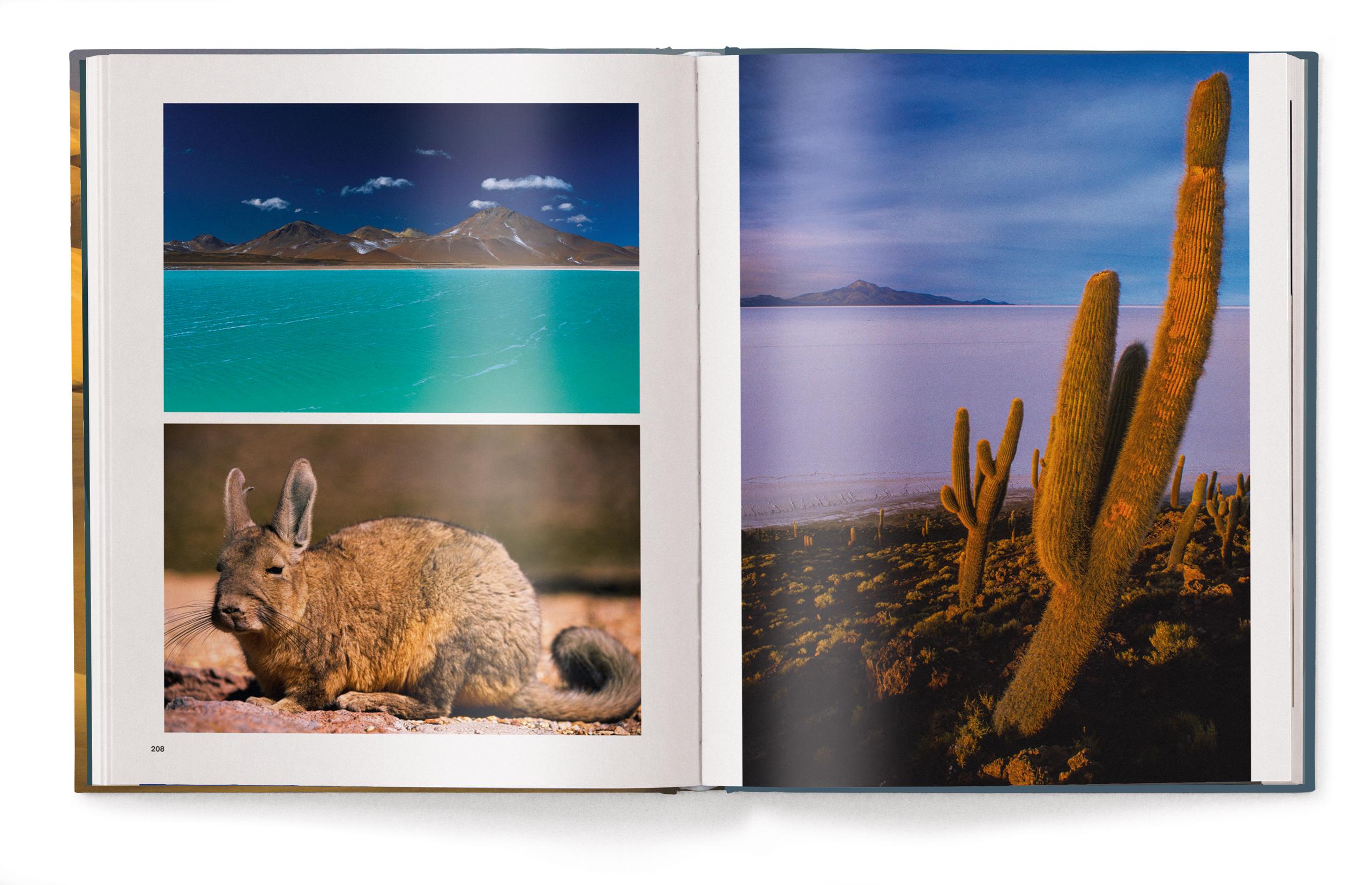 Beispielinhalt (Bild) Deserts