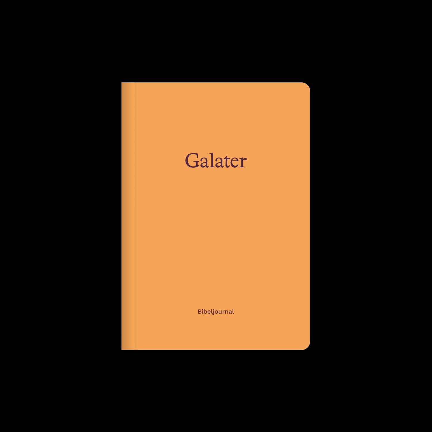 Beispielinhalt (Bild) Galater (Bibeljournal)