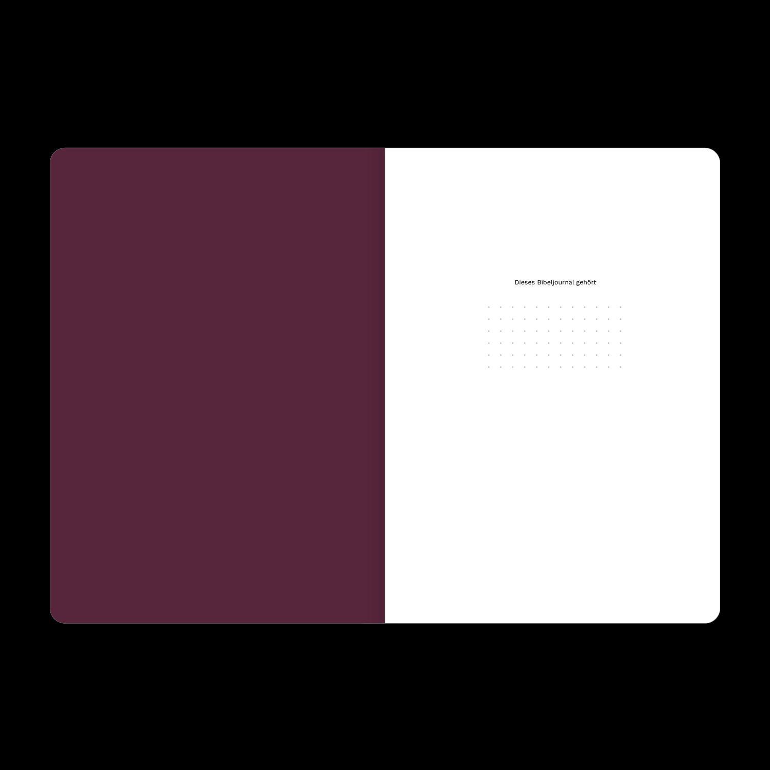 Beispielinhalt (Bild) Galater (Bibeljournal)