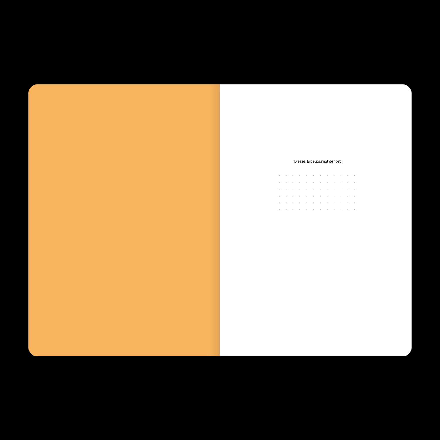 Beispielinhalt (Bild) Matthäus (Bibeljournal)