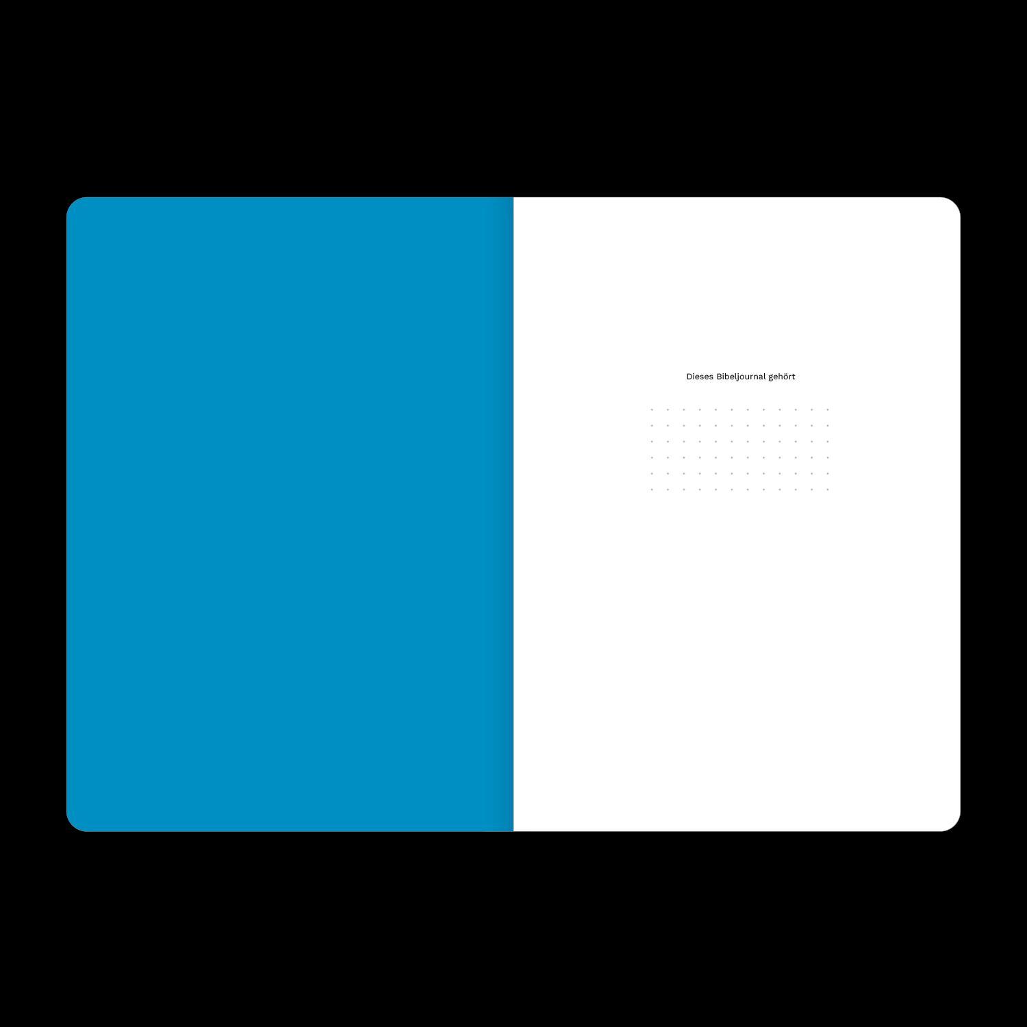 Beispielinhalt (Bild) Die Psalmen 1-72 (Bibeljournal)