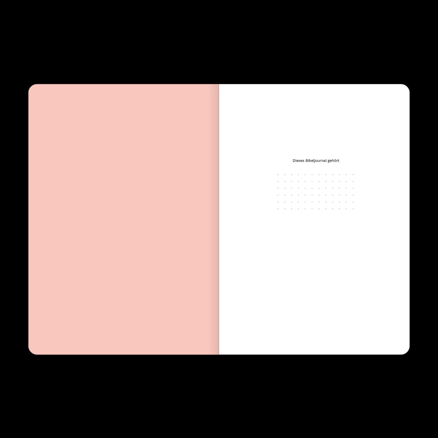 Beispielinhalt (Bild) Lukas (Bibeljournal)