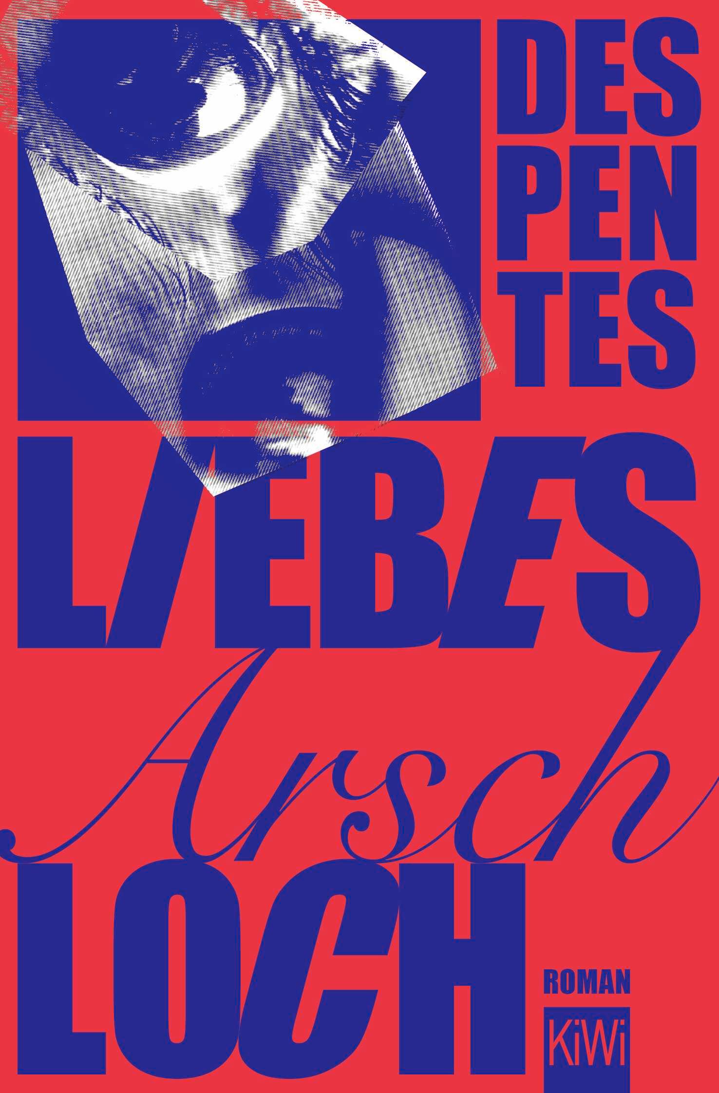 Vorderes Coverbild Liebes Arschloch