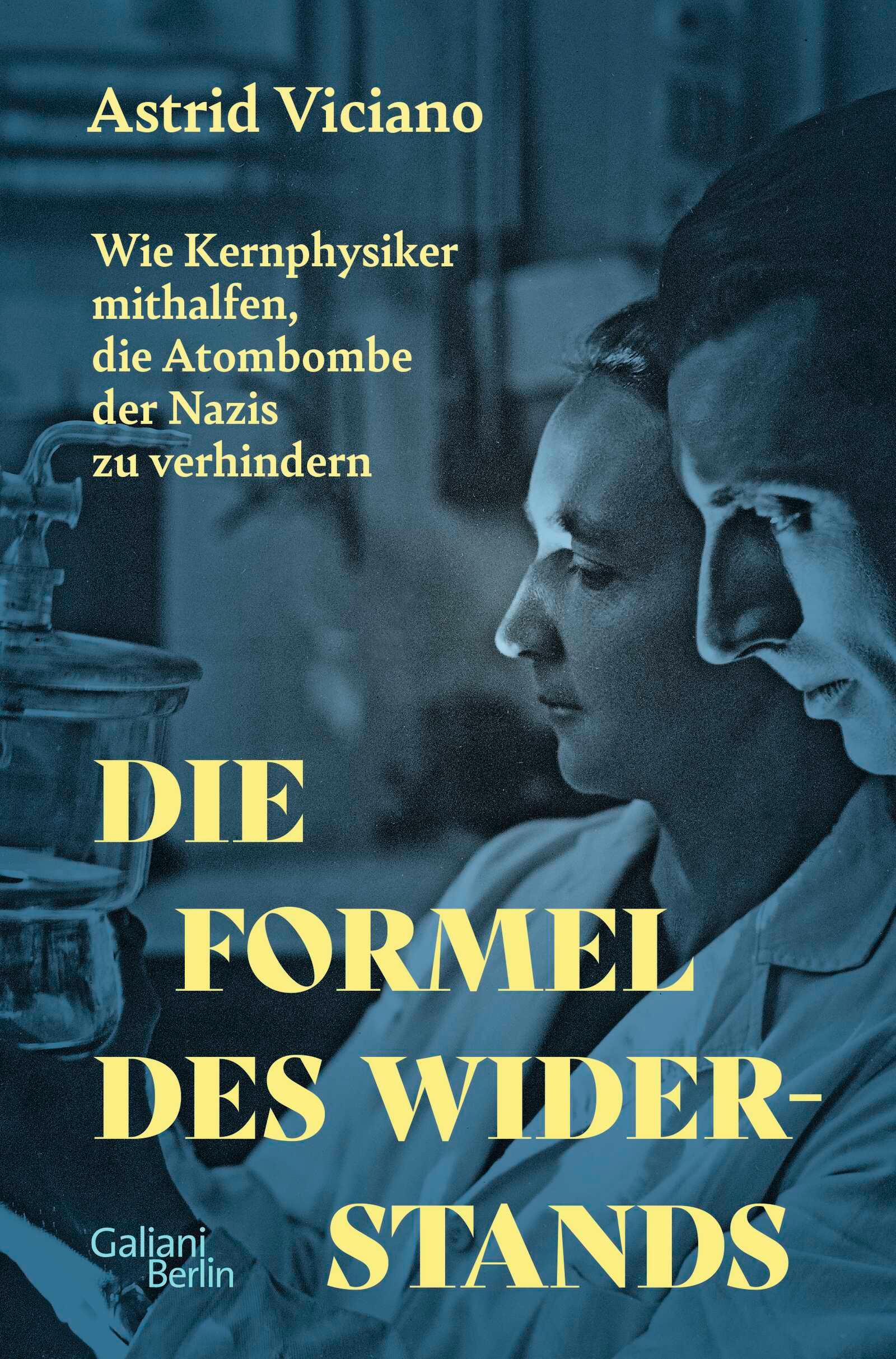 Vorderes Coverbild Die Formel des Widerstands