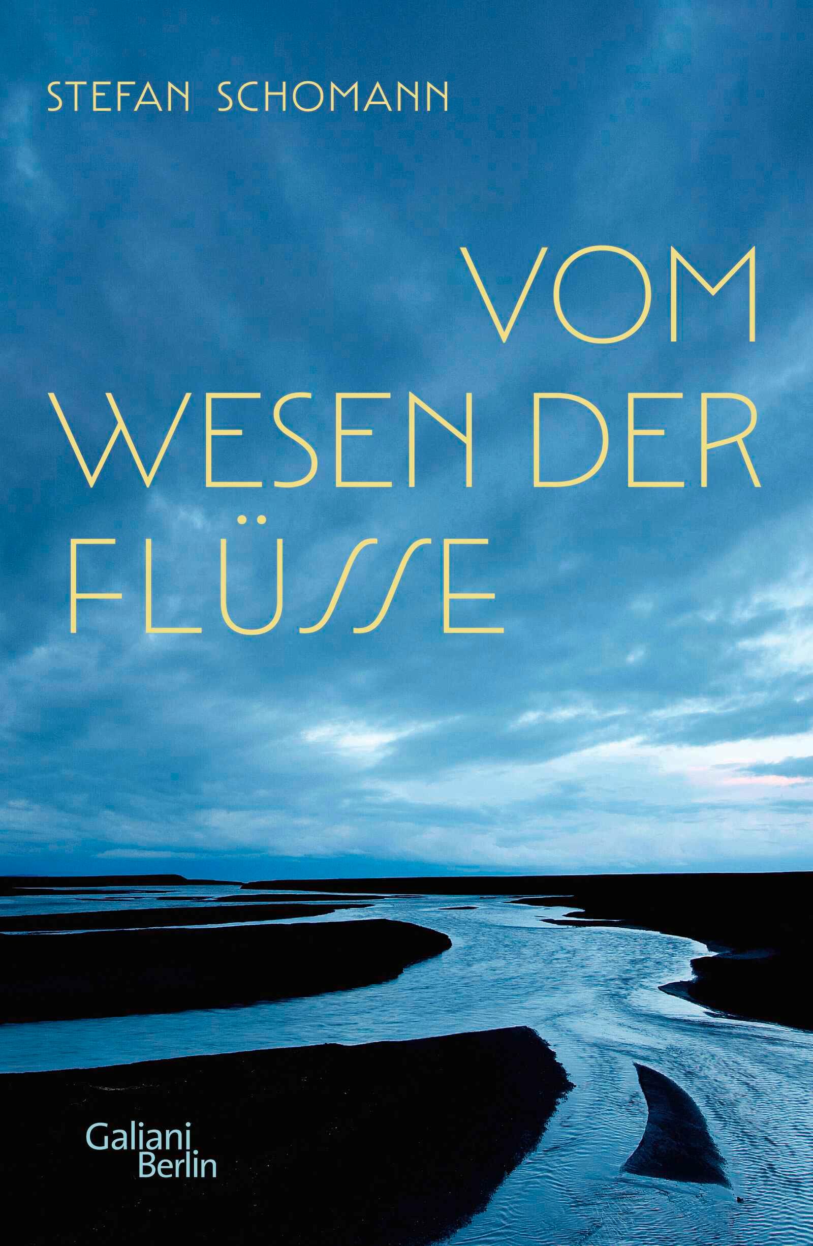 Vorderes Coverbild Vom Wesen der Flüsse