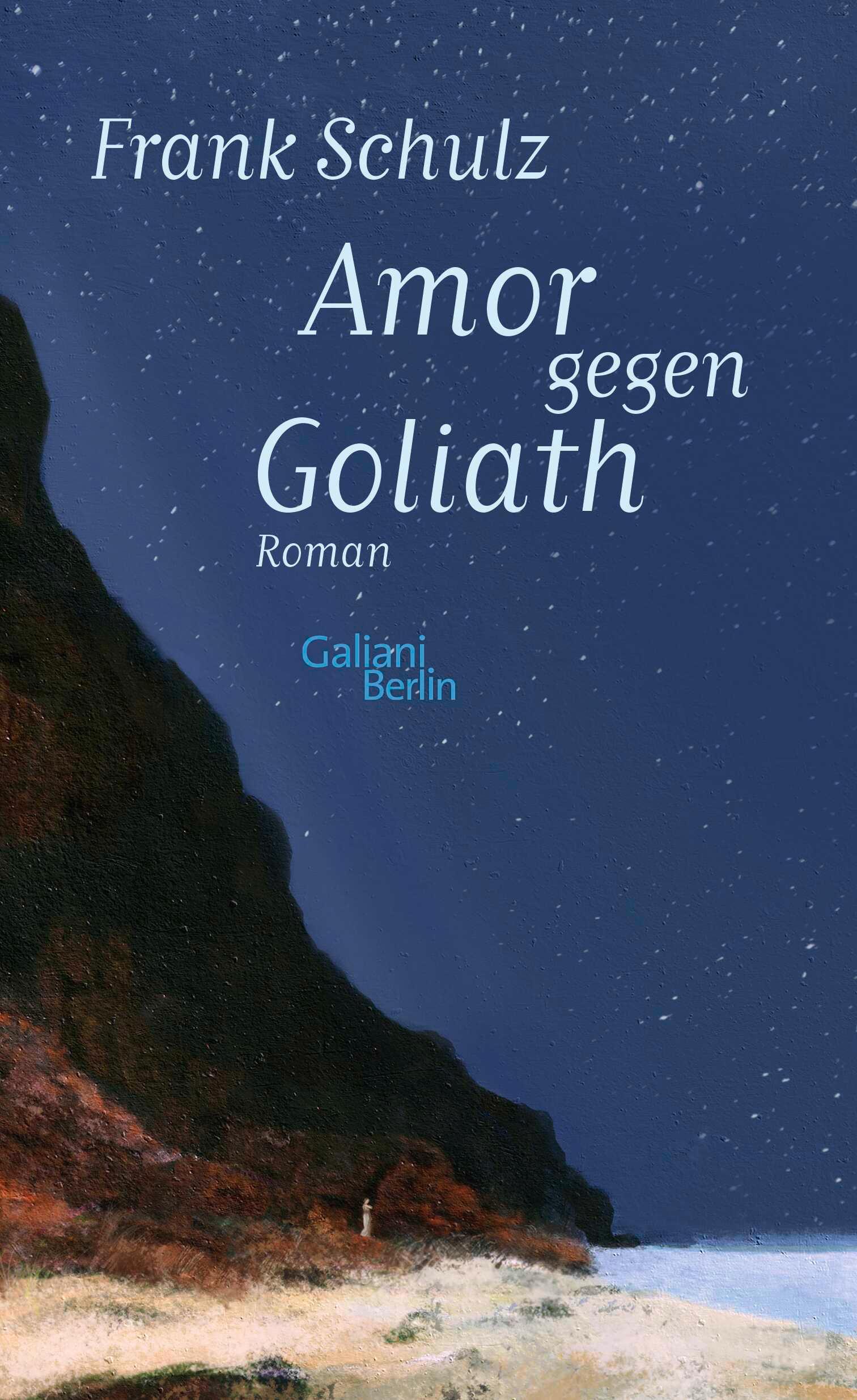 Vorderes Coverbild Amor gegen Goliath